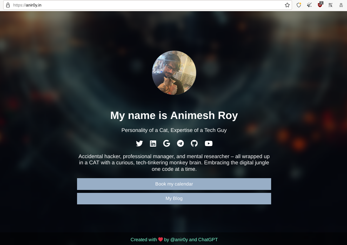 A screenshot of the http://anir0y.in website