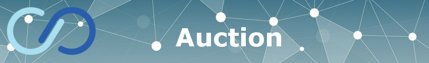 "Infinex Auction"